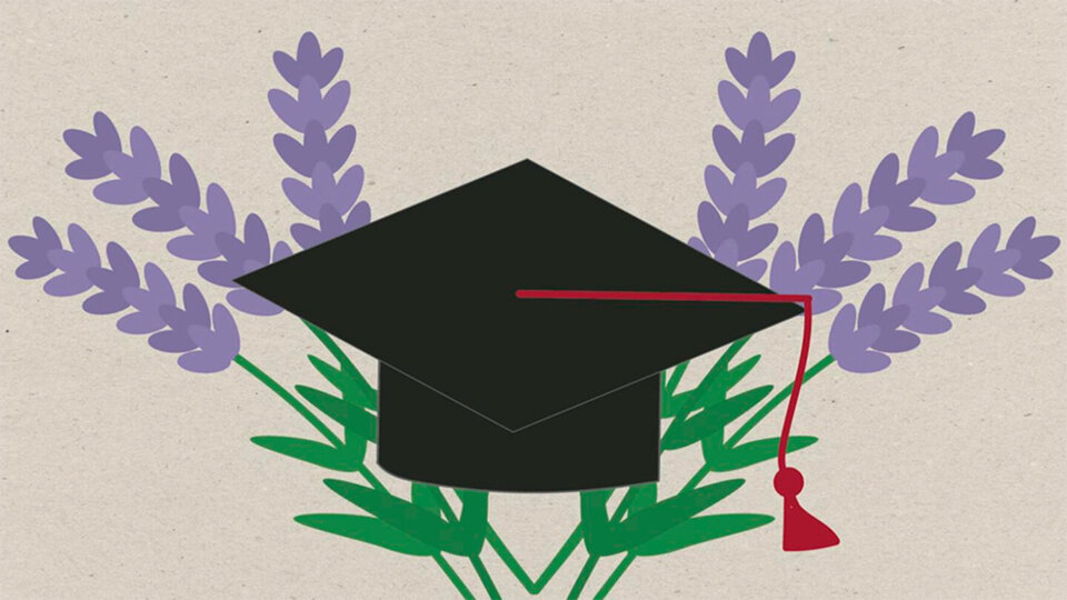 Graduation cap with a red tassel atop lavender and greenery.